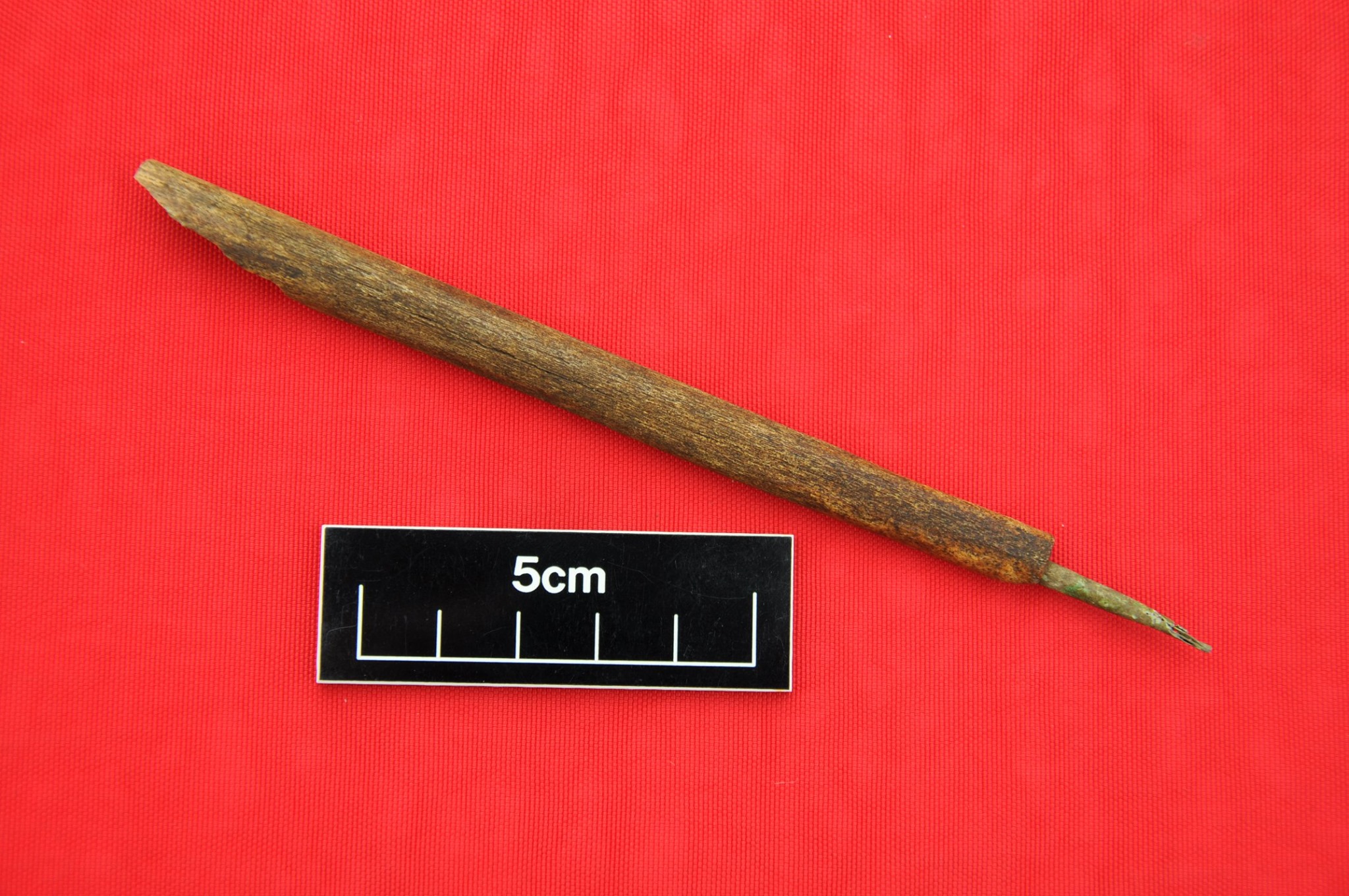 Ve středověké pevnosti bylo objeveno nejstarší inkoustové pero Irska